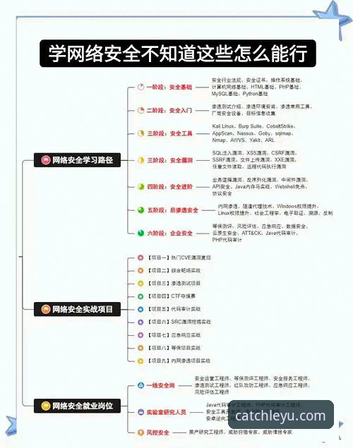乐鱼体育平台APP下载与安全使用全教程：从获取到安心畅玩的深度指南